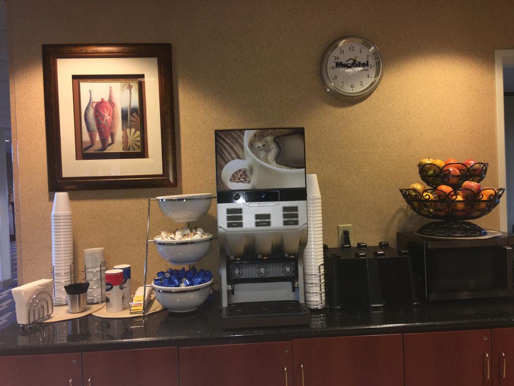 Microtel Inn & Suites By Wyndham Indianapolis Airport Buitenkant foto